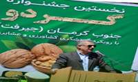 استان کرمان در جایگاه دوم تولید گردو در کشور قرار دارد
